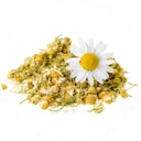 Dried chamomile blossoms piled up, one fresh bloom resting on top