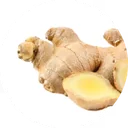 Pale slices cut from a fresh root, laid out on a counter